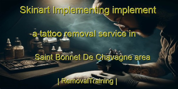 Skinart Implementing implement a tattoo removal service in Saint Bonnet De Chavagne area | RemovalTraining | RemovalClasses | SkinartTraining-France